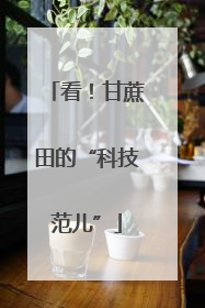 看！甘蔗田的“科技范儿”