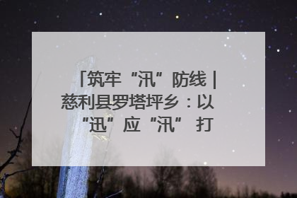 筑牢“汛”防线｜慈利县罗塔坪乡：以“迅”应“汛” 打赢暴雨防御战