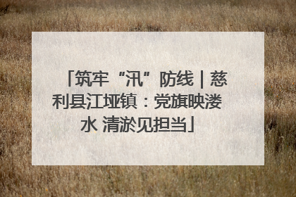 筑牢“汛”防线｜慈利县江垭镇：党旗映溇水 清淤见担当