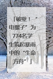 破壁！“电骡子”为774名学生筑起暴雨中的“生命方舟”