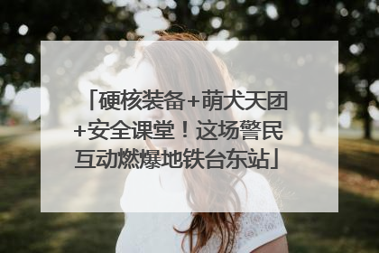 硬核装备+萌犬天团+安全课堂！这场警民互动燃爆地铁台东站