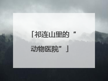 祁连山里的“动物医院”