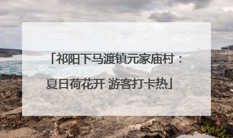 祁阳下马渡镇元家庙村：夏日荷花开 游客打卡热