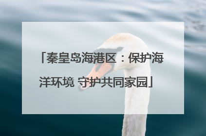 秦皇岛海港区：保护海洋环境 守护共同家园