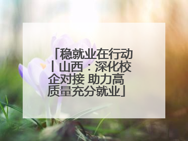稳就业在行动丨山西：深化校企对接 助力高质量充分就业