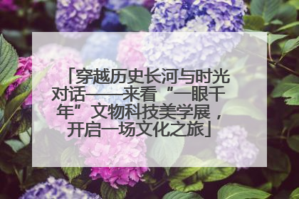 穿越历史长河与时光对话——来看“一眼千年”文物科技美学展，开启一场文化之旅