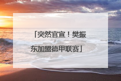 突然官宣！樊振东加盟德甲联赛