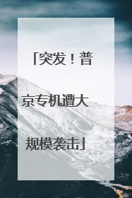 突发！普京专机遭大规模袭击