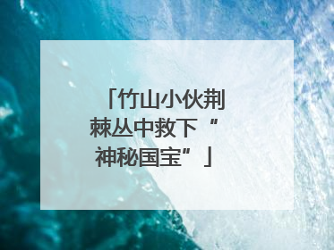 竹山小伙荆棘丛中救下“神秘国宝”