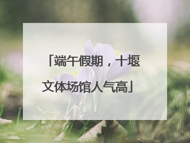 端午假期，十堰文体场馆人气高