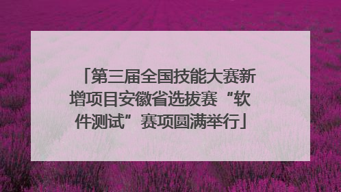 第三届全国技能大赛新增项目安徽省选拔赛“软件测试”赛项圆满举行