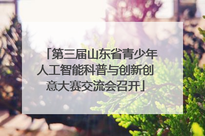第三届山东省青少年人工智能科普与创新创意大赛交流会召开