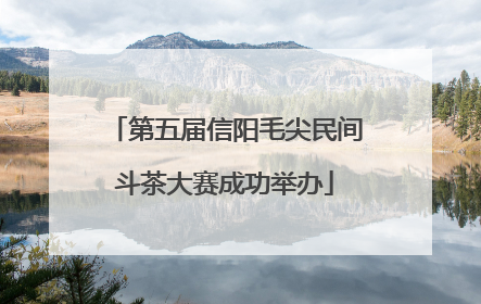 第五届信阳毛尖民间斗茶大赛成功举办