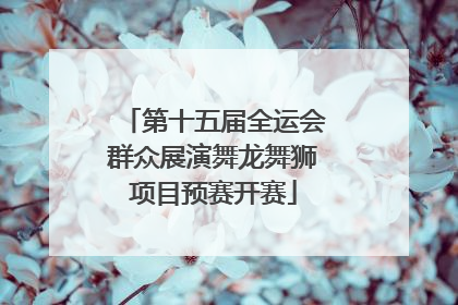 第十五届全运会群众展演舞龙舞狮项目预赛开赛