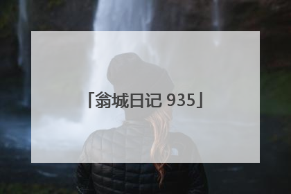 翁城日记 935