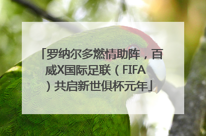 罗纳尔多燃情助阵，百威X国际足联（FIFA）共启新世俱杯元年