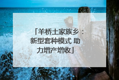 羊桥土家族乡：新型套种模式 助力增产增收