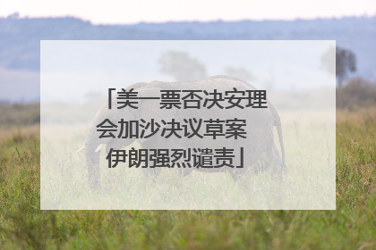 美一票否决安理会加沙决议草案 伊朗强烈谴责