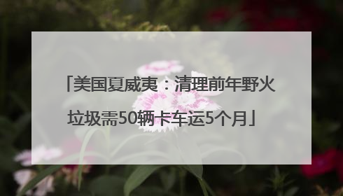 美国夏威夷：清理前年野火垃圾需50辆卡车运5个月