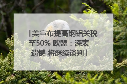 美宣布提高钢铝关税至50% 欧盟：深表遗憾 将继续谈判