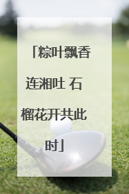 粽叶飘香连湘吐 石榴花开共此时
