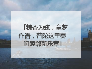 粽香为弦，童梦作谱，普陀这里奏响睦邻新乐章