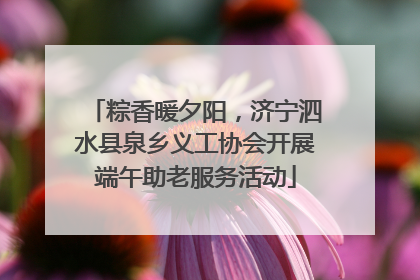 粽香暖夕阳，济宁泗水县泉乡义工协会开展端午助老服务活动