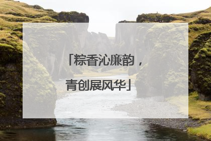 粽香沁廉韵，青创展风华