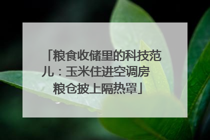 粮食收储里的科技范儿：玉米住进空调房 粮仓披上隔热罩