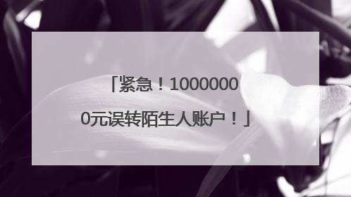 紧急！10000000元误转陌生人账户！