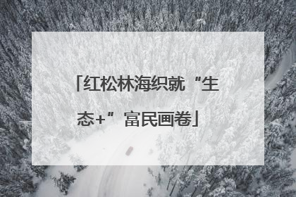 红松林海织就“生态+”富民画卷
