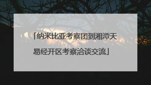 纳米比亚考察团到湘潭天易经开区考察洽谈交流