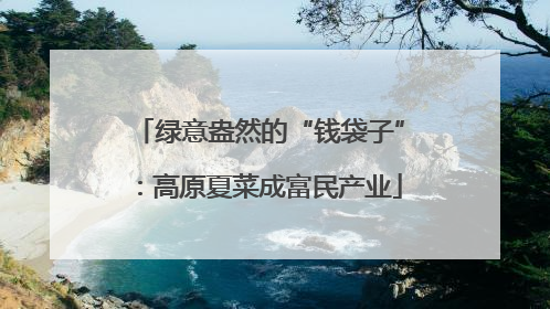 绿意盎然的“钱袋子”：高原夏菜成富民产业