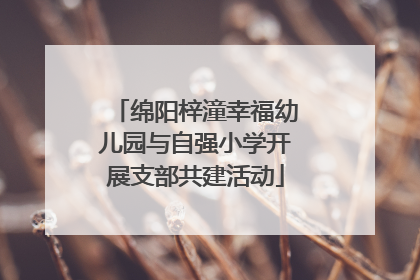 绵阳梓潼幸福幼儿园与自强小学开展支部共建活动