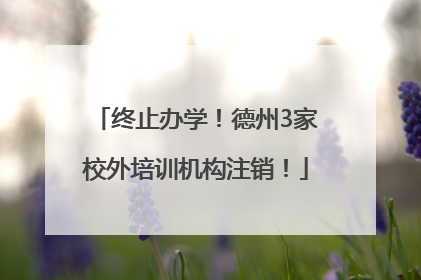 终止办学！德州3家校外培训机构注销！