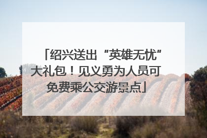 绍兴送出“英雄无忧”大礼包！见义勇为人员可免费乘公交游景点