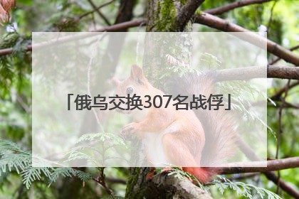 俄乌交换307名战俘