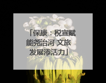 保康：税宣赋能尧治河 文旅发展添活力