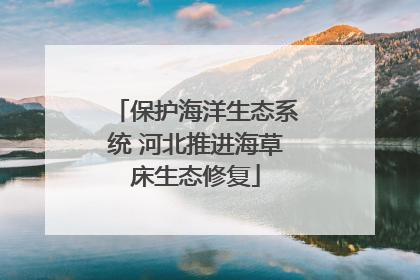 保护海洋生态系统 河北推进海草床生态修复