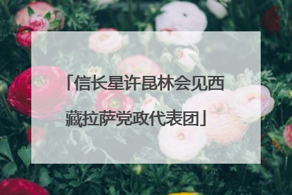 信长星许昆林会见西藏拉萨党政代表团