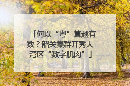何以“粤”算越有数？韶关集群开秀大湾区“数字肌肉”