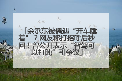 余承东被偶遇“开车睡着”？网友称打招呼后秒回！曾公开表示“智驾可以打盹”引争议