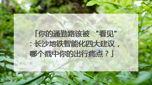 你的通勤路该被 “看见”：长沙地铁智能化四大建议，哪个戳中你的出行痛点？