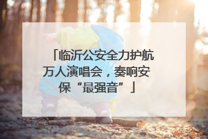 临沂公安全力护航万人演唱会，奏响安保“最强音”