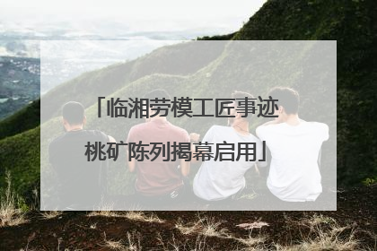 临湘劳模工匠事迹桃矿陈列揭幕启用
