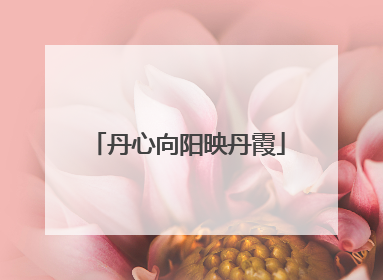 丹心向阳映丹霞