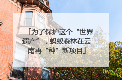 为了保护这个“世界遗产”，蚂蚁森林在云南再“种”新项目