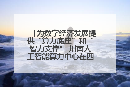 为数字经济发展提供“算力底座”和“智力支撑” 川南人工智能算力中心在四川泸州启动