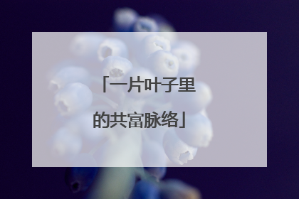 一片叶子里的共富脉络
