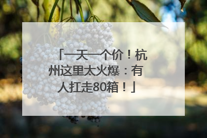 一天一个价！杭州这里太火爆：有人扛走80箱！
